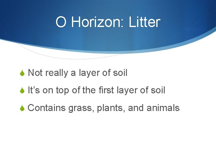 O Horizon: Litter S Not really a layer of soil S It’s on top O Horizon: Litter S Not really a layer of soil S It’s on top