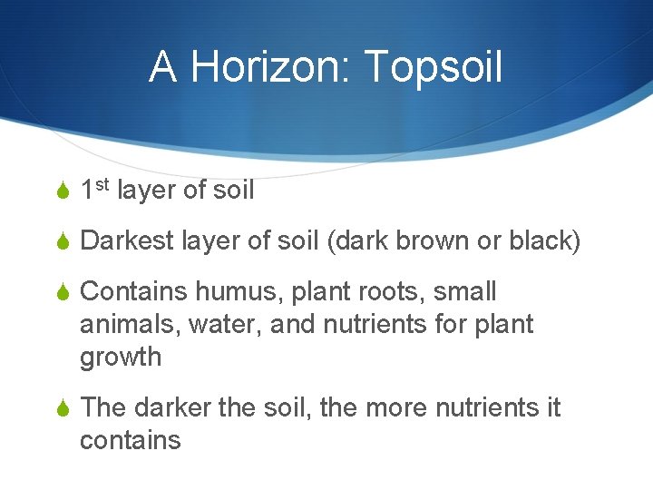 A Horizon: Topsoil S 1 st layer of soil S Darkest layer of soil A Horizon: Topsoil S 1 st layer of soil S Darkest layer of soil