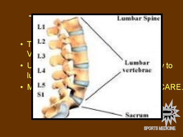 TRAUMATIC FRACTURES OF LUMBAR VERTEBRA • Traumatic Fractures of the Lumbar Vertebrae are uncommon