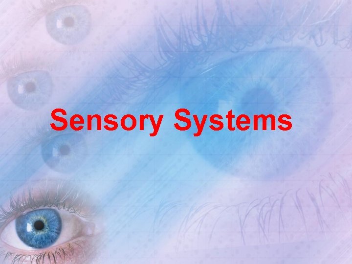 Sensory Systems 