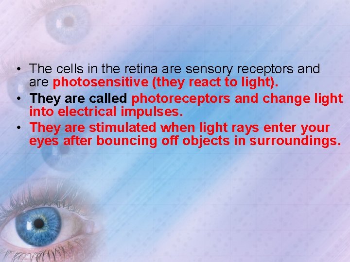  • The cells in the retina are sensory receptors and are photosensitive (they