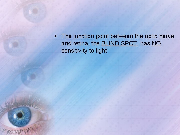  • The junction point between the optic nerve and retina, the BLIND SPOT,