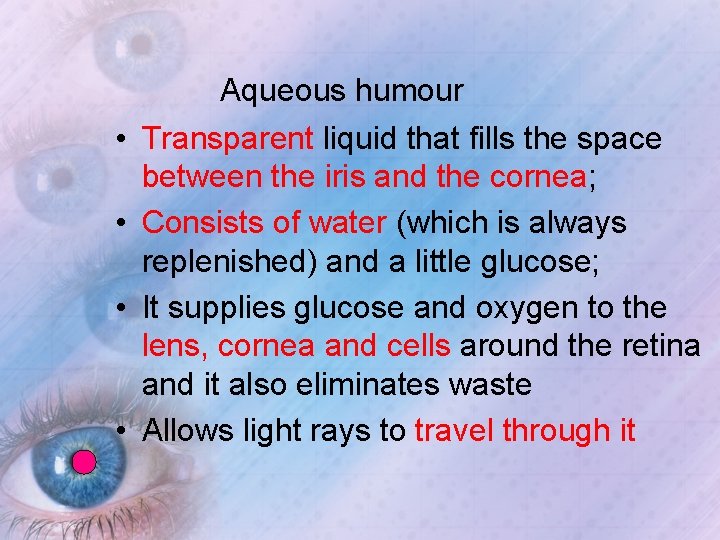 Aqueous humour • Transparent liquid that fills the space between the iris and the