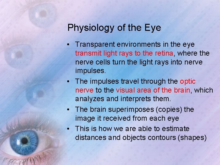 Physiology of the Eye • Transparent environments in the eye transmit light rays to