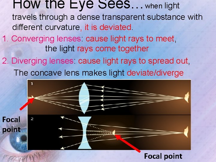 How the Eye Sees…when light travels through a dense transparent substance with different curvature,