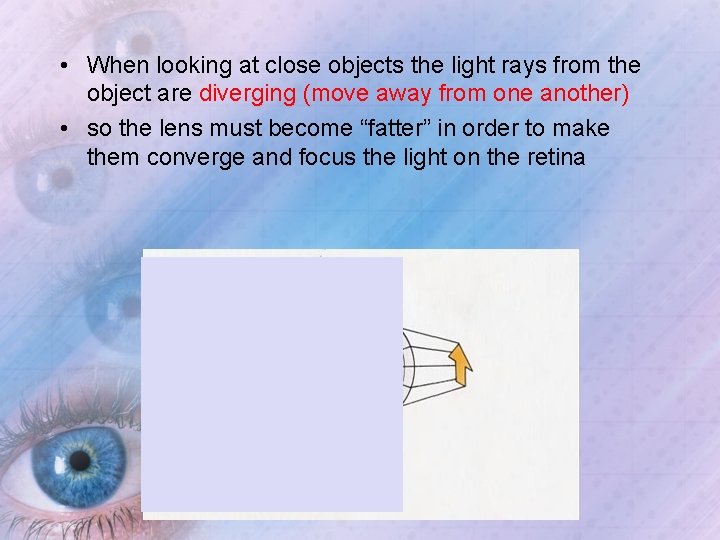  • When looking at close objects the light rays from the object are