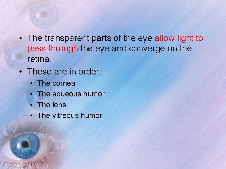  • The transparent parts of the eye allow light to pass through the