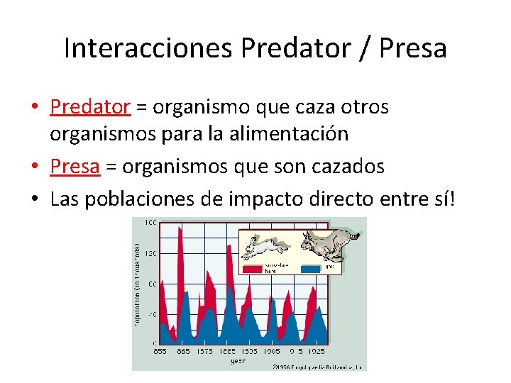 Interacciones Predator / Presa • Predator = organismo que caza otros organismos para la