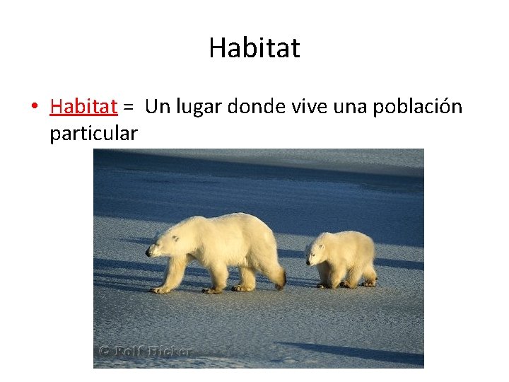 Habitat • Habitat = Un lugar donde vive una población particular 