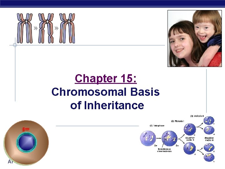 Chapter 15: Chromosomal Basis of Inheritance AP Biology 