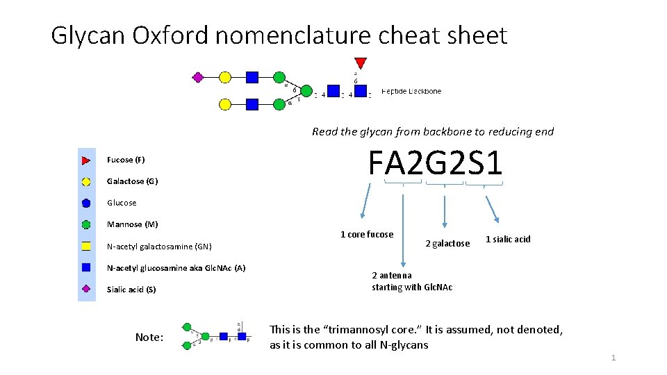 Glycan Oxford nomenclature cheat sheet Read the glycan from backbone to reducing end Fucose