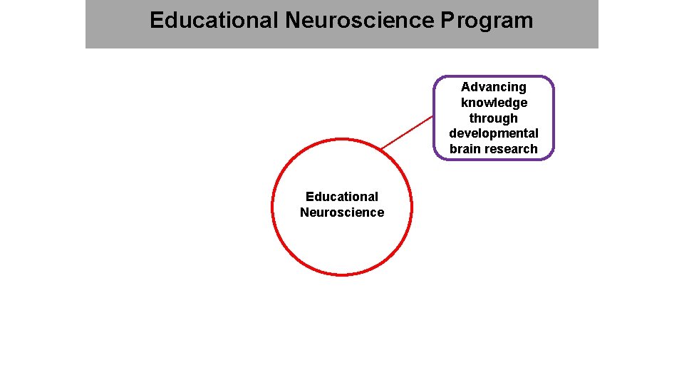 Educational Neuroscience Program Advancing knowledge through developmental brain research Educational Neuroscience 