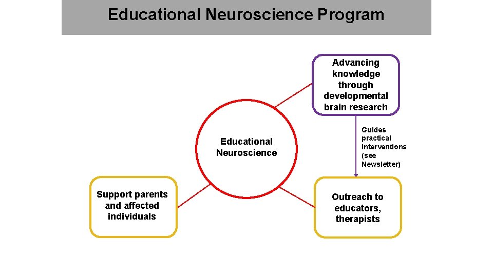 Educational Neuroscience Program Advancing knowledge through developmental brain research Educational Neuroscience Support parents and
