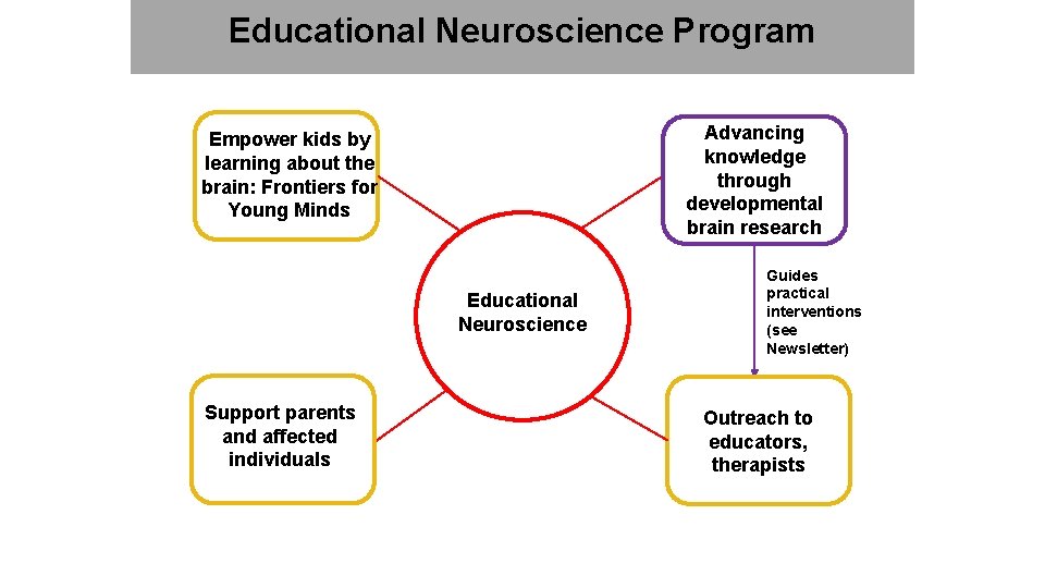 Educational Neuroscience Program Advancing knowledge through developmental brain research Empower kids by learning about