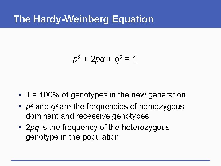 The Hardy-Weinberg Equation p 2 + 2 pq + q 2 = 1 •