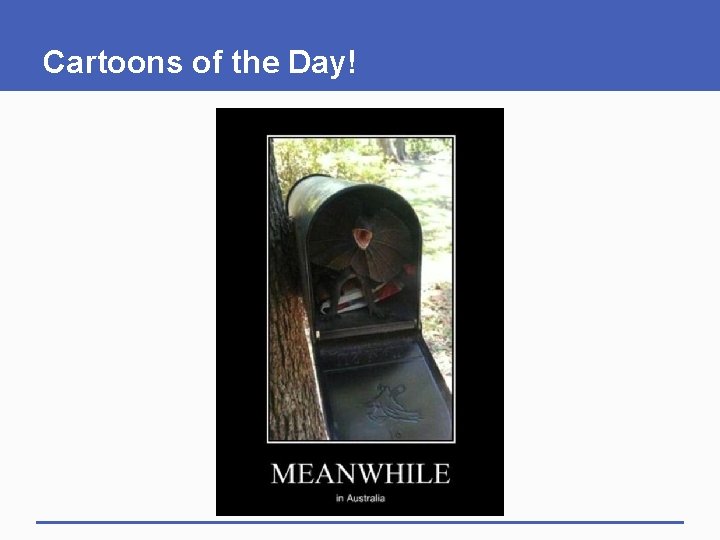 Cartoons of the Day! 