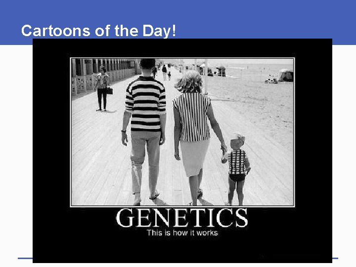 Cartoons of the Day! 