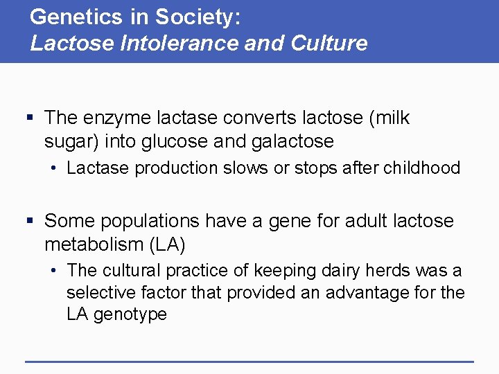 Genetics in Society: Lactose Intolerance and Culture § The enzyme lactase converts lactose (milk