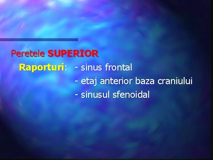 Peretele SUPERIOR Raporturi: - sinus frontal - etaj anterior baza craniului - sinusul sfenoidal