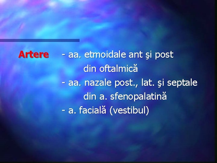 Artere - aa. etmoidale ant şi post din oftalmică - aa. nazale post. ,