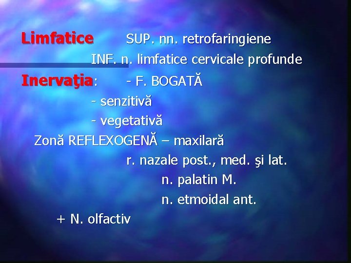 Limfatice SUP. nn. retrofaringiene INF. n. limfatice cervicale profunde Inervaţia: - F. BOGATĂ -