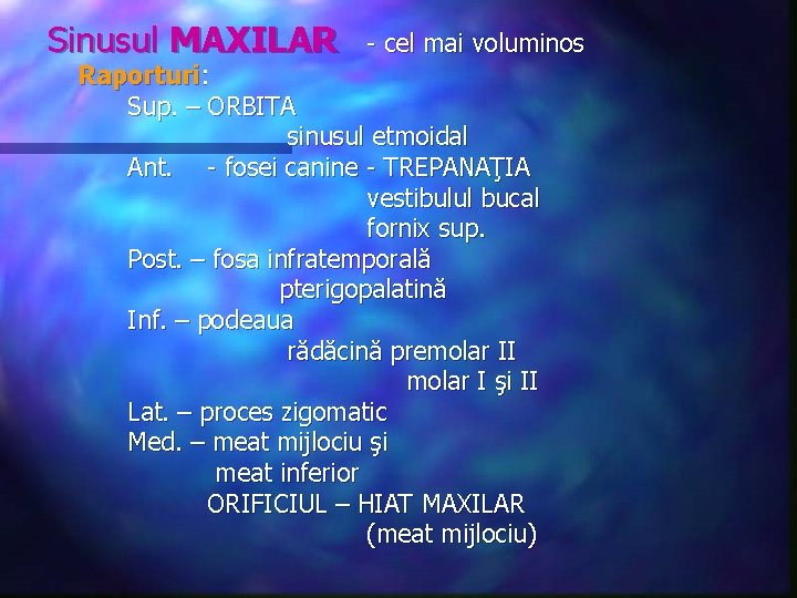 Sinusul MAXILAR - cel mai voluminos Raporturi: Sup. – ORBITA sinusul etmoidal Ant. -