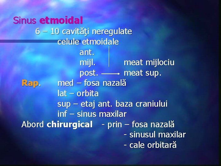 Sinus etmoidal 6 – 10 cavităţi neregulate celule etmoidale ant. mijl. meat mijlociu post.