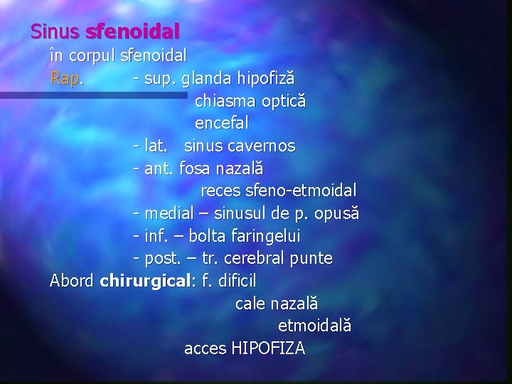 Sinus sfenoidal în corpul sfenoidal Rap. - sup. glanda hipofiză chiasma optică encefal -