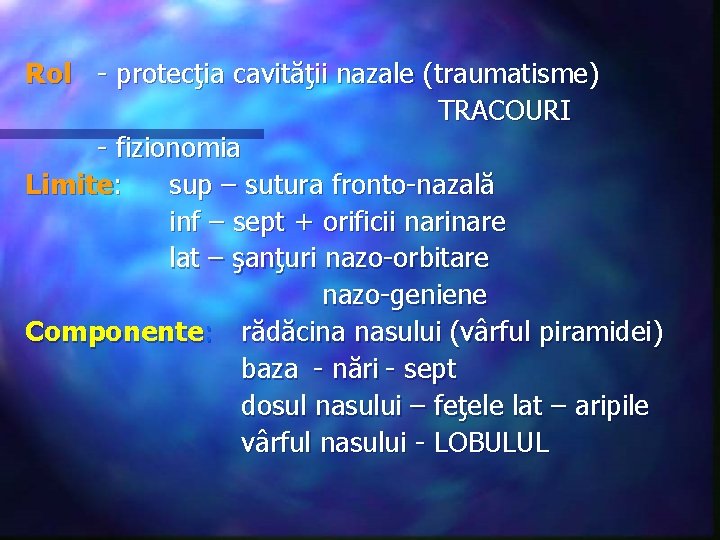Rol - protecţia cavităţii nazale (traumatisme) TRACOURI - fizionomia Limite: sup – sutura fronto-nazală