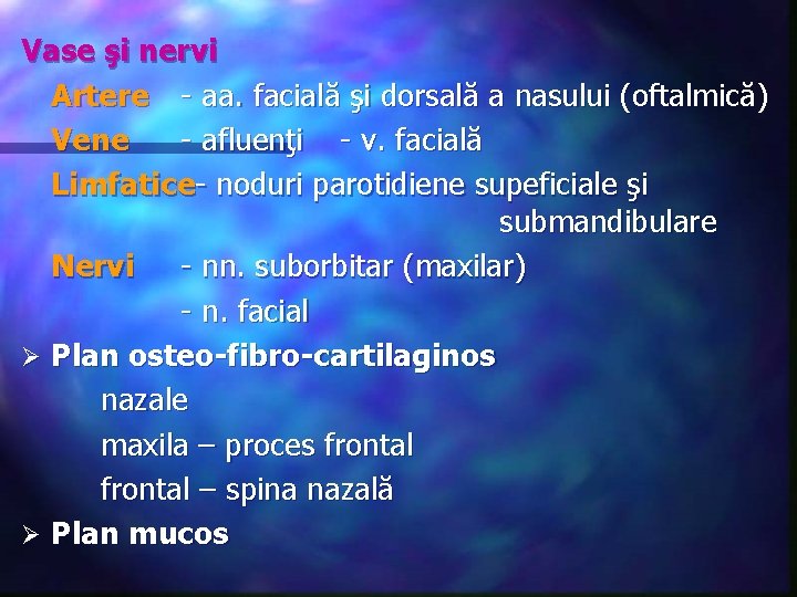 Vase şi nervi Artere - aa. facială şi dorsală a nasului (oftalmică) Vene -