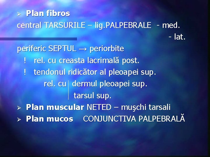 Plan fibros central TARSURILE – lig. PALPEBRALE - med. - lat. periferic SEPTUL →