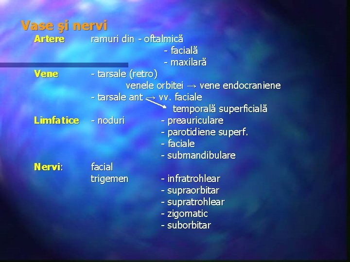 Vase şi nervi Artere Vene Limfatice Nervi: ramuri din - oftalmică - facială -
