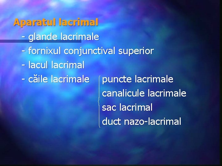 Aparatul lacrimal - glande lacrimale - fornixul conjunctival superior - lacul lacrimal - căile