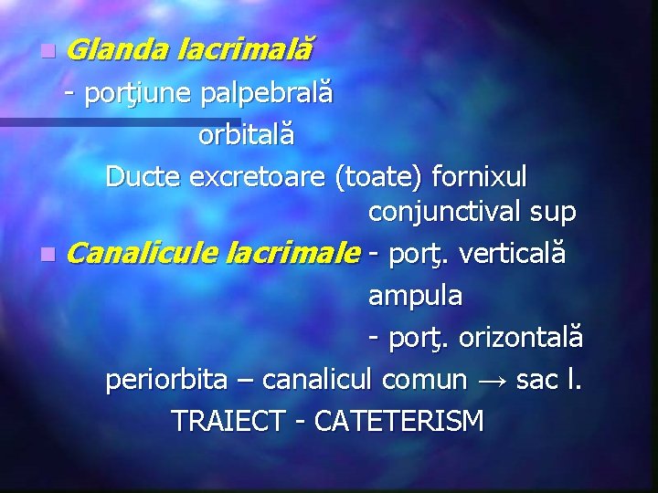 n Glanda lacrimală - porţiune palpebrală orbitală Ducte excretoare (toate) fornixul conjunctival sup n