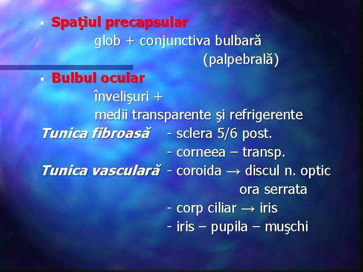 Spaţiul precapsular glob + conjunctiva bulbară (palpebrală) § Bulbul ocular învelişuri + medii transparente