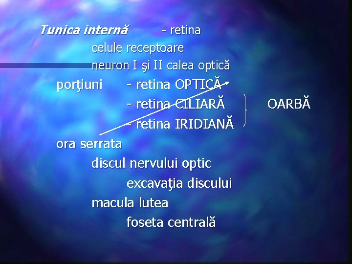 Tunica internă - retina celule receptoare neuron I şi II calea optică porţiuni -