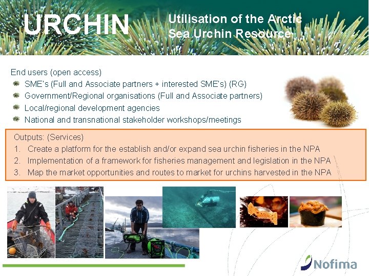 URCHIN Utilisation of the Arctic Sea Urchin Resource End users (open access) SME’s (Full