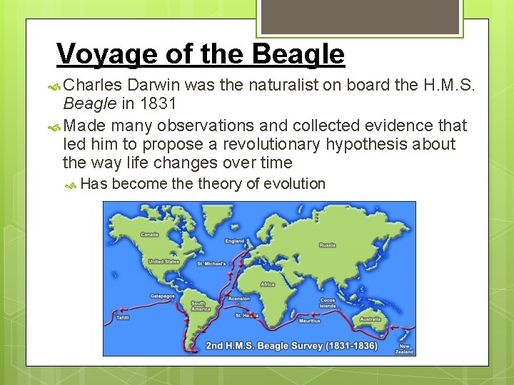 Voyage of the Beagle Charles Darwin was the naturalist on board the H. M.