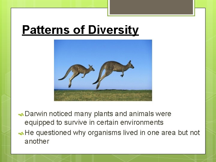 Patterns of Diversity Darwin noticed many plants and animals were equipped to survive in Patterns of Diversity Darwin noticed many plants and animals were equipped to survive in