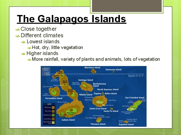 The Galapagos Islands Close together Different climates Lowest islands Hot, dry, little vegetation Higher