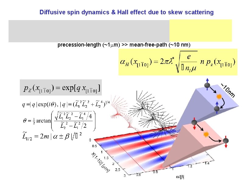 Diffusive spin dynamics & Hall effect due to skew scattering precession-length (~1 m) >>