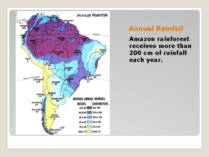 Annual Rainfall Amazon rainforest receives more than 200 cm of rainfall each year. 