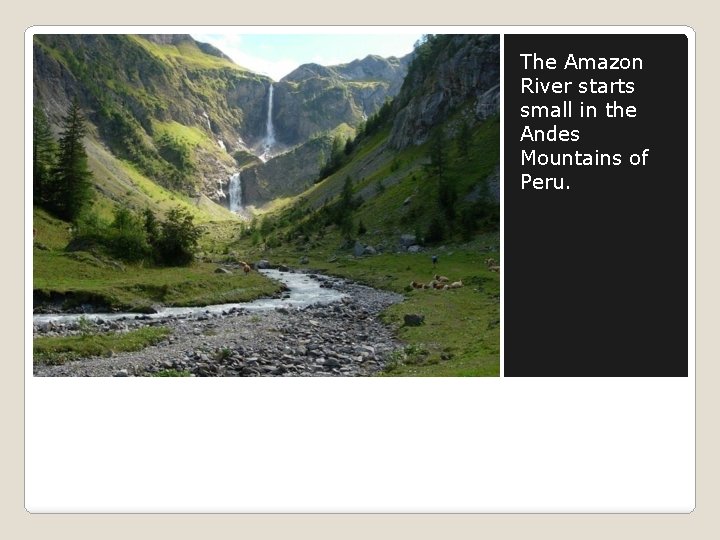 The Amazon River starts small in the Andes Mountains of Peru. 