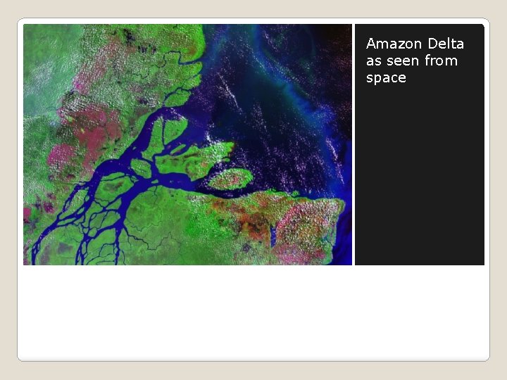 Amazon Delta as seen from space 