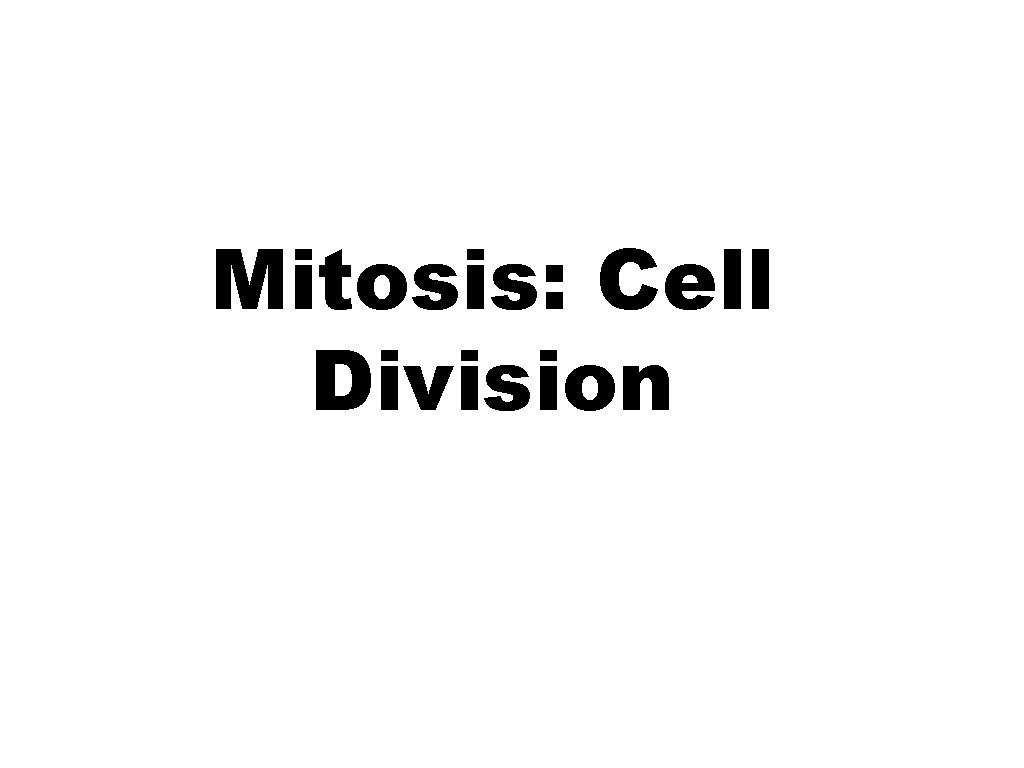 Mitosis: Cell Division 