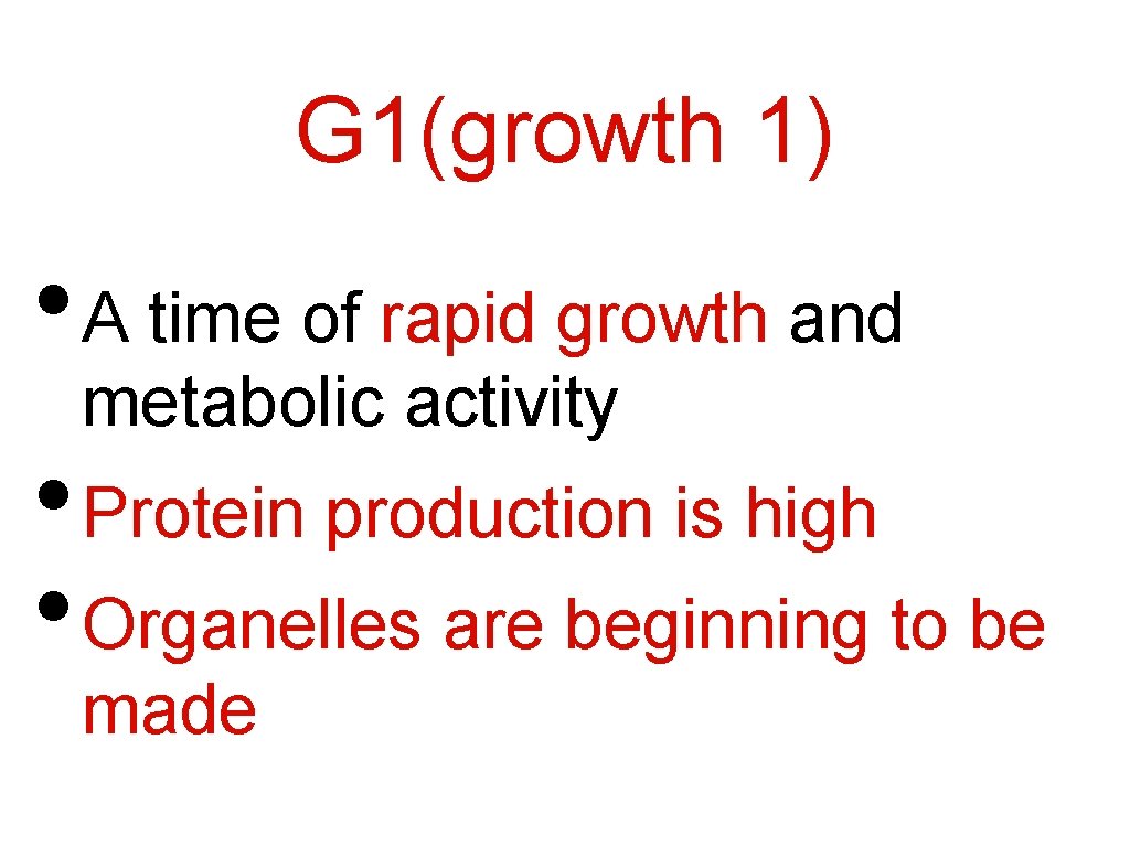 G 1(growth 1) • A time of rapid growth and metabolic activity • Protein