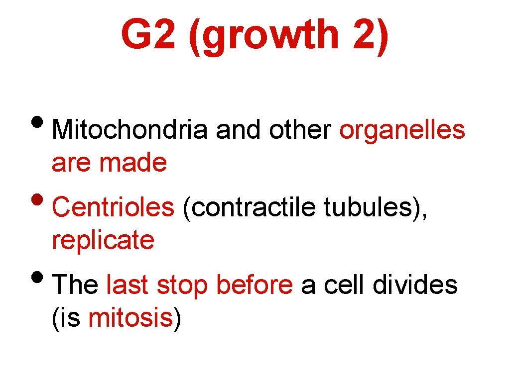G 2 (growth 2) • Mitochondria and other organelles are made • Centrioles (contractile