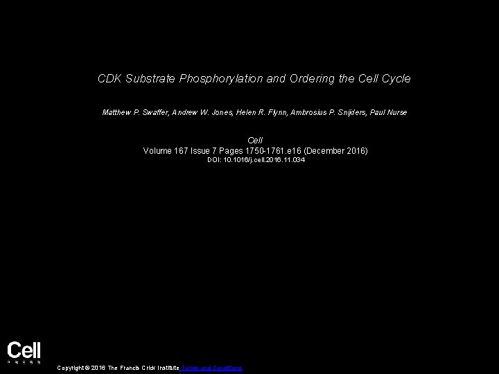 CDK Substrate Phosphorylation and Ordering the Cell Cycle Matthew P. Swaffer, Andrew W. Jones,