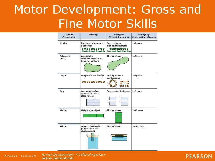 Motor Development: Gross and Fine Motor Skills Human Development: A Cultural Approach Jeffrey Jensen