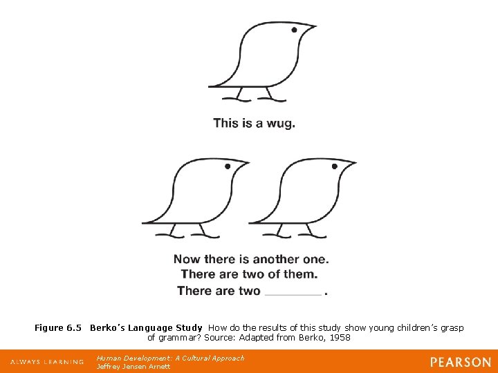 Figure 6. 5 Berko’s Language Study How do the results of this study show